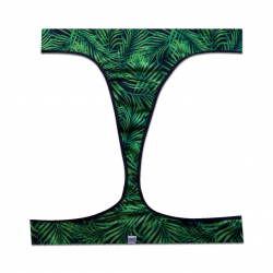 Colaless  Menstruación y Uso diario Talles XS-XL MYLA (Línea Arco iris)